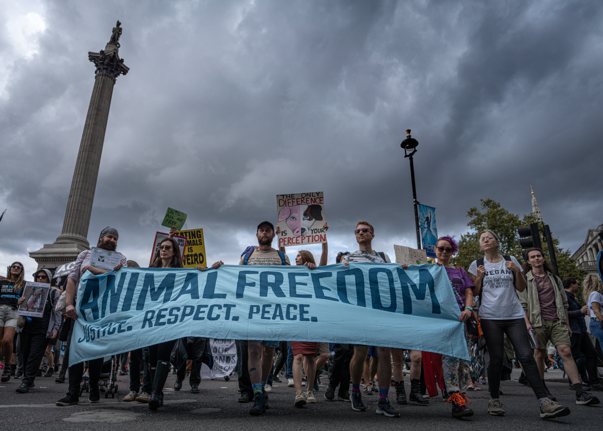Une manifestation pour la liberté des animaux